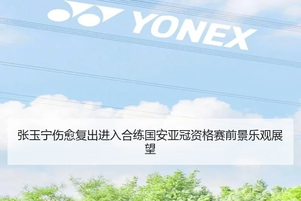 张玉宁伤愈复出进入合练国安亚冠资格赛前景乐观展望